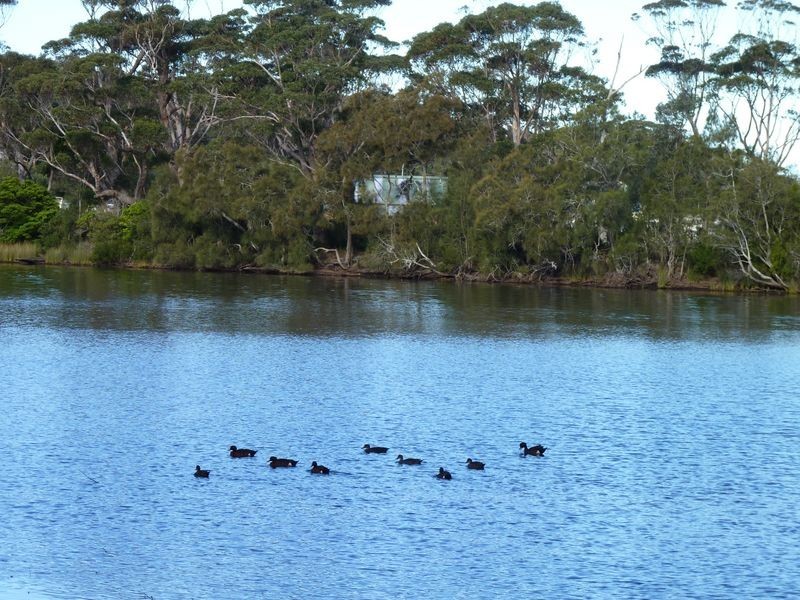 3 Oak Avenue, Lake Tabourie NSW 2539