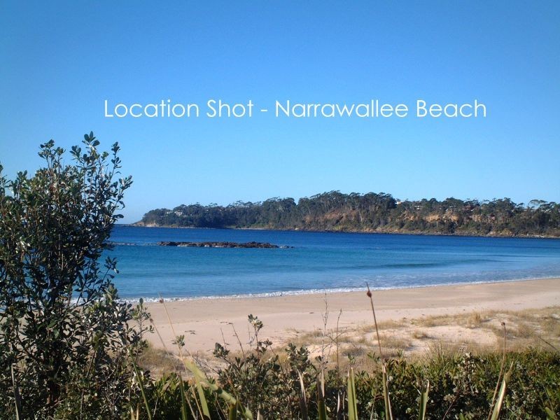 65 Matron Porter Drive, Narrawallee NSW 2539