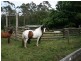 72A Slaughter House Road, Milton NSW 2538