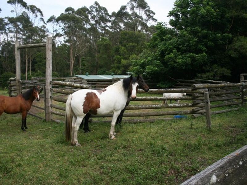 72A Slaughter House Road, Milton NSW 2538