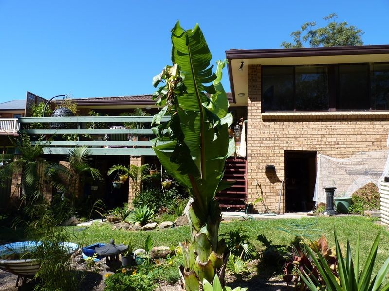 53 Wyoming Avenue, Burrill Lake NSW 2539