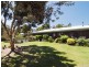 24 Sungrove Lane, Milton NSW 2538