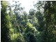 Lot 842 Woodburn Road, Milton NSW 2538