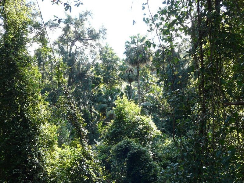 Lot 842 Woodburn Road, Milton NSW 2538