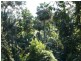 Lot 842 Woodburn Road, Milton NSW 2538