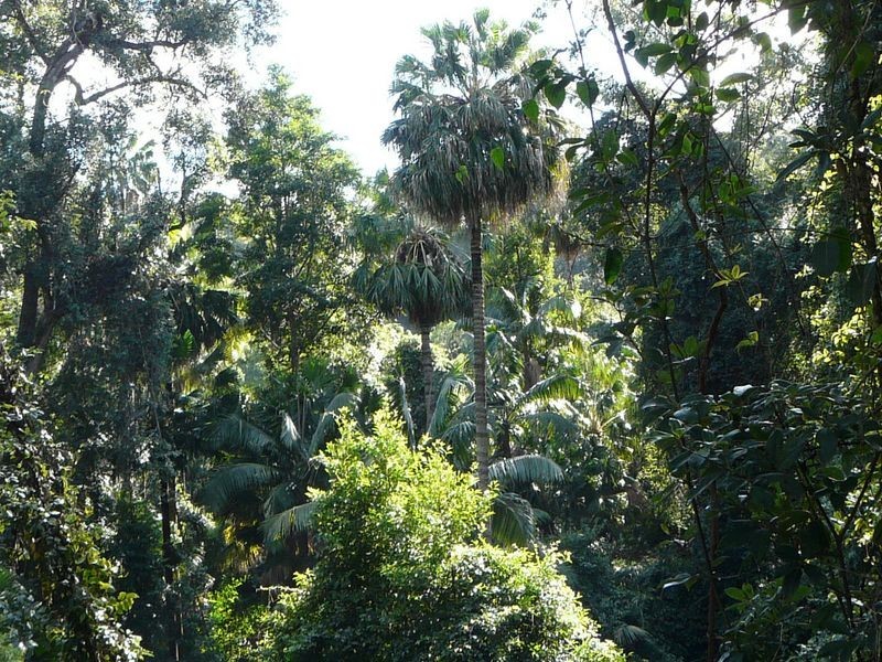 Lot 842 Woodburn Road, Milton NSW 2538