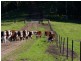 Lot 842 Woodburn Road, Milton NSW 2538