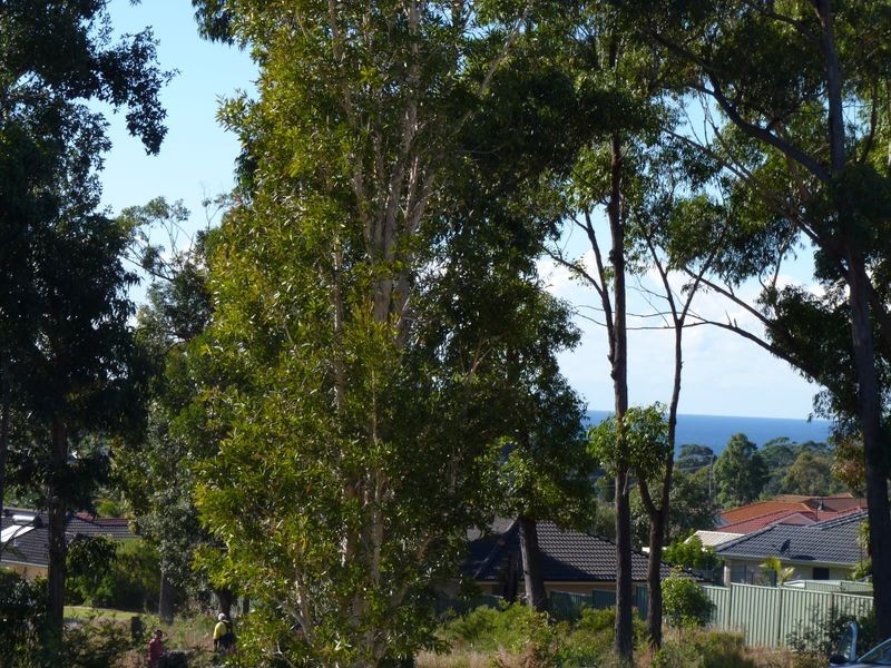 719/ Golden Wattle Drive, Ulladulla NSW 2539