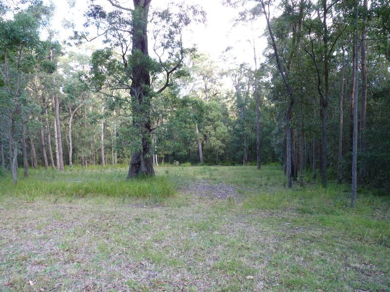 5 Woorawa Lane, Milton NSW 2538