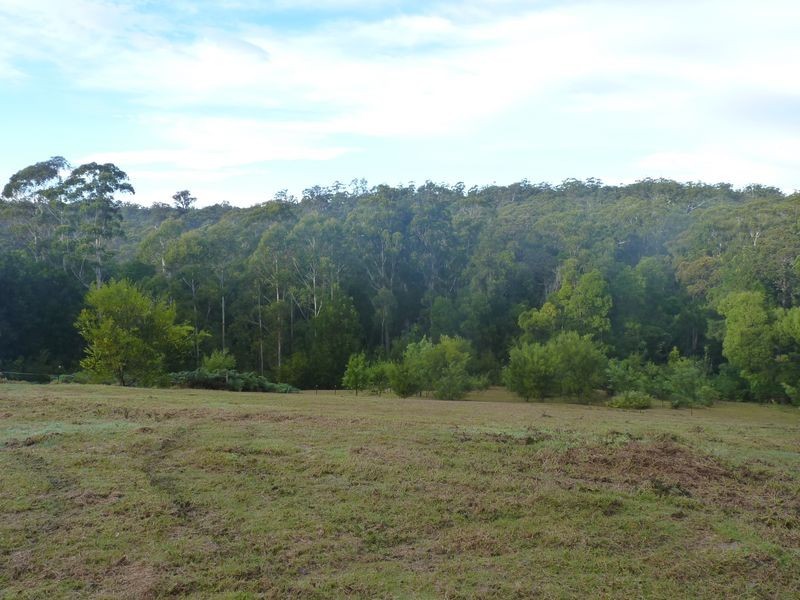 239A Evans Lane, Milton NSW 2538