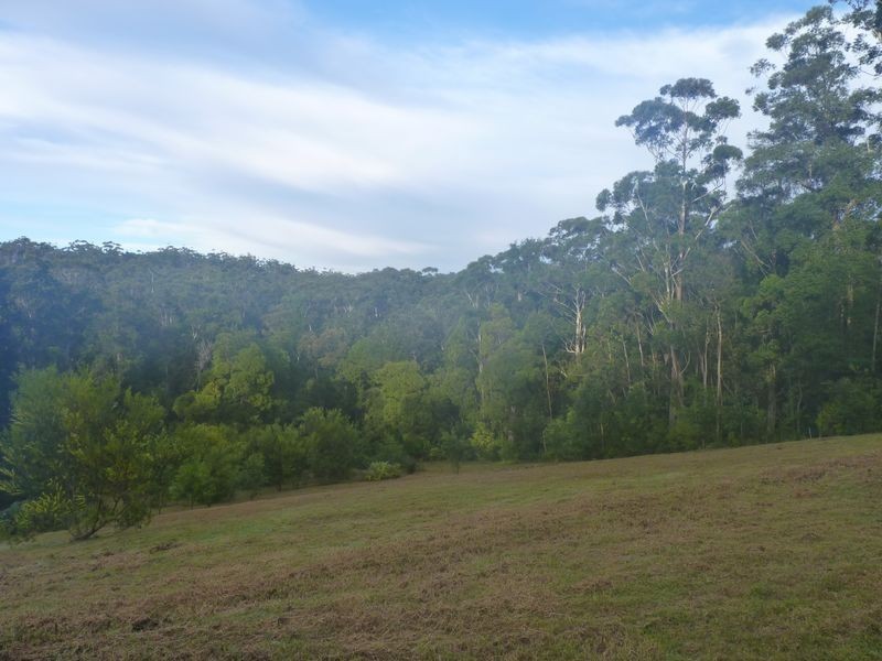 239A Evans Lane, Milton NSW 2538