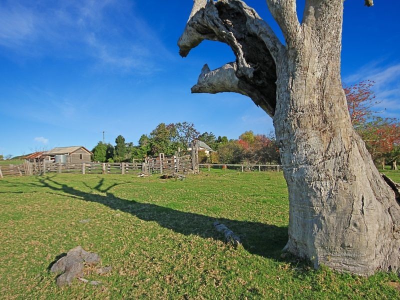 24 Evans Lane, Milton NSW 2538