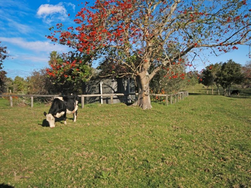 24 Evans Lane, Milton NSW 2538