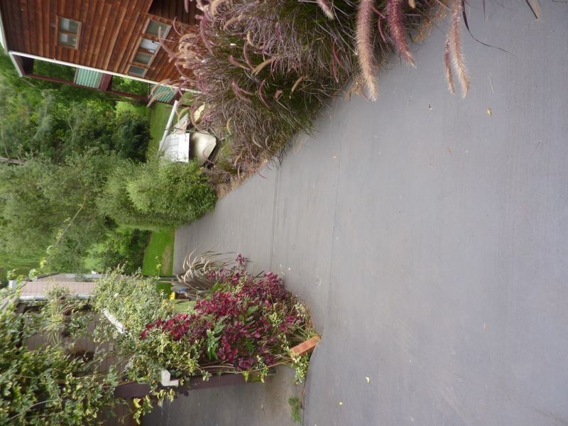 9 Valley Drive, Bawley Point NSW 2539