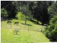 13 The Quarterdeck, Lake Conjola NSW 2539