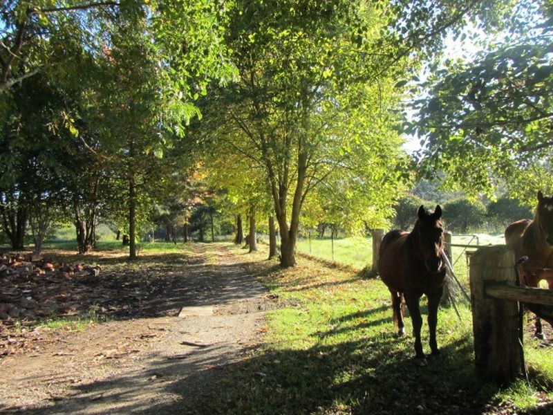 16 Bawley Point Rd, Termeil NSW 2539