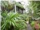 10 Sandra Street, Bawley Point NSW 2539