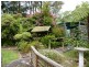 10 Sandra Street, Bawley Point NSW 2539
