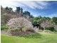 51 Garrads Lane, Milton NSW 2538