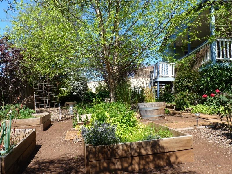 11 Skillman Place, Mollymook NSW 2539