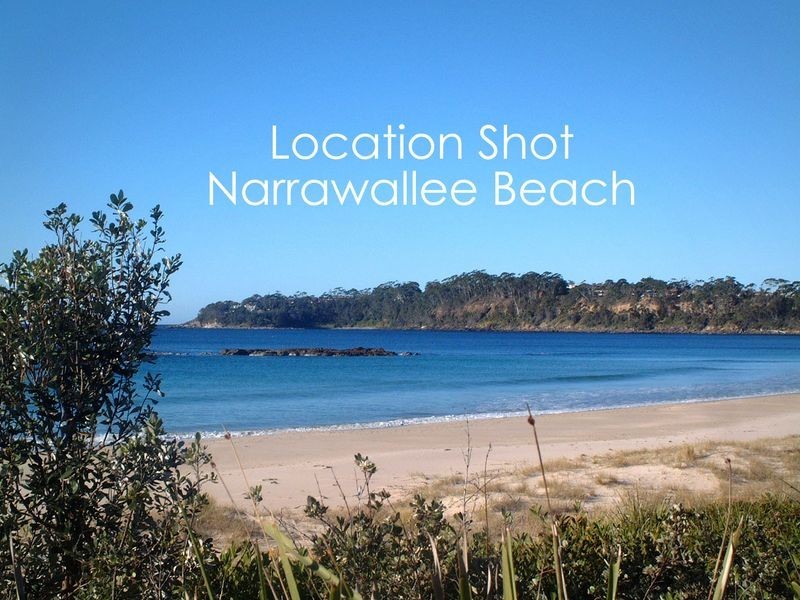 51 Matron Porter Drive, Narrawallee NSW 2539