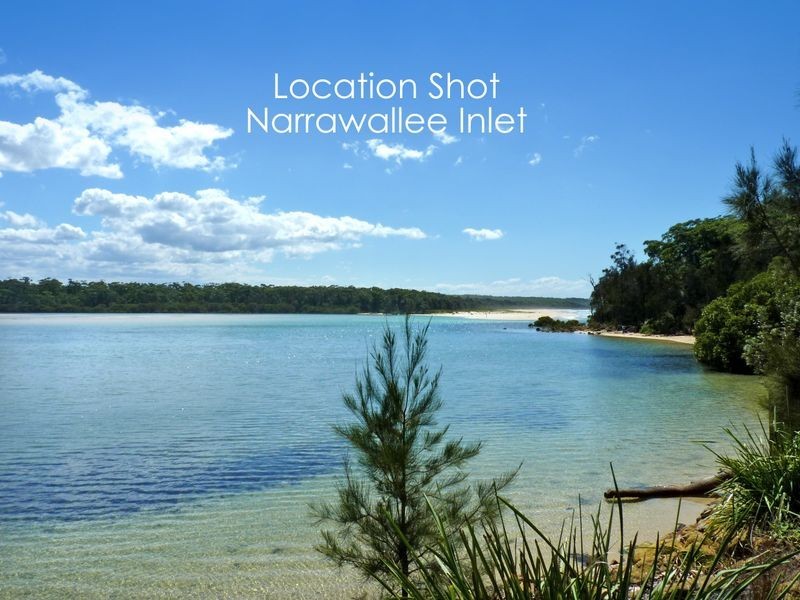 51 Matron Porter Drive, Narrawallee NSW 2539
