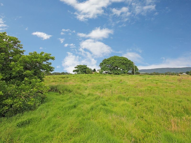 171 Little Forest Road, Milton NSW 2538