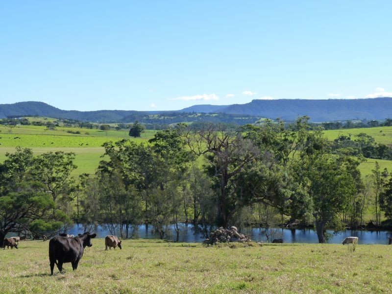 Lot 107 Wilfords Lane, Milton NSW 2538