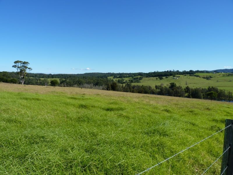 Lot 107 Wilfords Lane, Milton NSW 2538