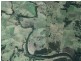 Lot 107 Wilfords Lane, Milton NSW 2538