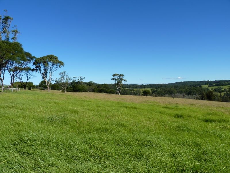 Lot 107 Wilfords Lane, Milton NSW 2538