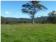 626 Croobyar Road, Milton NSW 2538