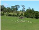 626 Croobyar Road, Milton NSW 2538