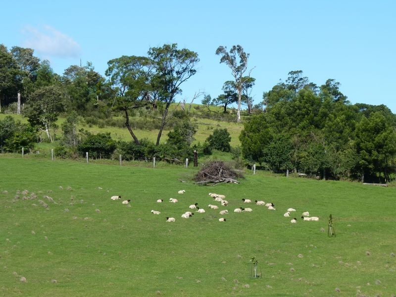 626 Croobyar Road, Milton NSW 2538
