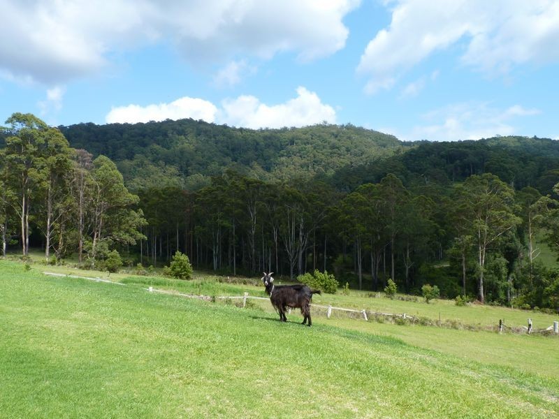 66B Shoebridge Lane, Termeil NSW 2539