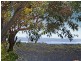 22 Owens Street, Ulladulla NSW 2539