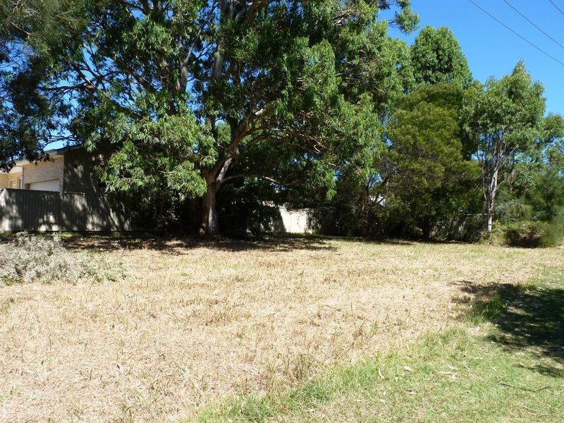 24 Lurnea Avenue, Bawley Point NSW 2539