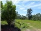 521 Little Forest Road, Milton NSW 2538