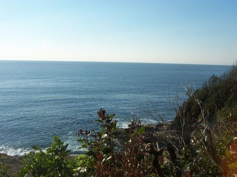 1/197 Mitchell Pde, Mollymook NSW 2539