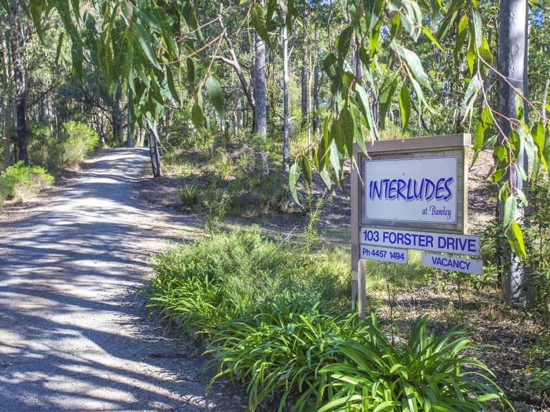 103 Forster Drive, Bawley Point NSW 2539