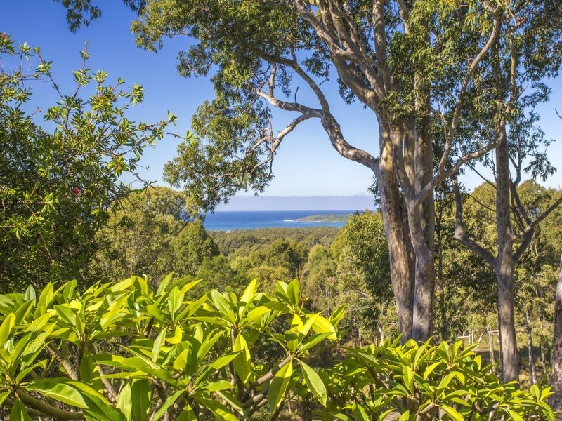 103 Forster Drive, Bawley Point NSW 2539