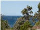 58 Seaview St, Mollymook NSW 2539