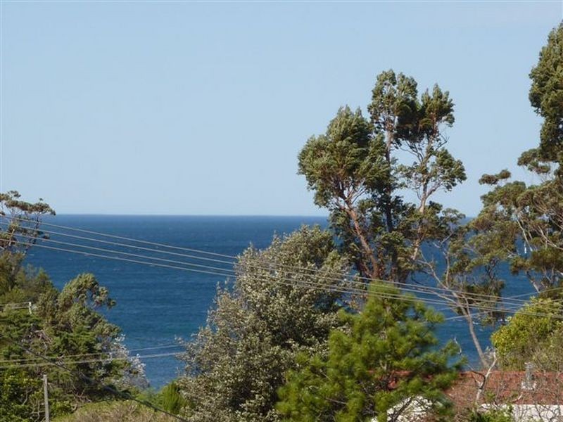 58 Seaview St, Mollymook NSW 2539