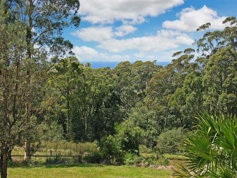 321 Woodburn Road, Milton NSW 2538