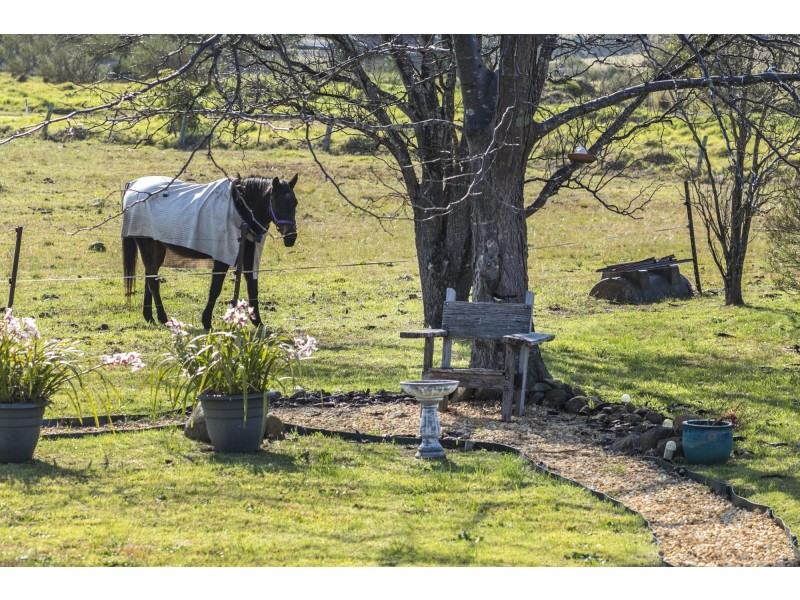 4 Evans Lane, Milton NSW 2538