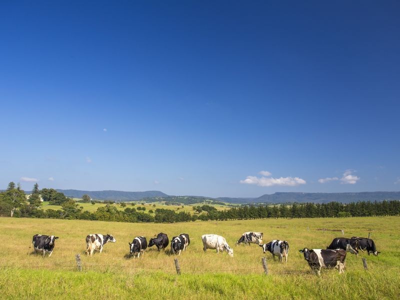 Lot 2 Woodstock Road, Milton NSW 2538