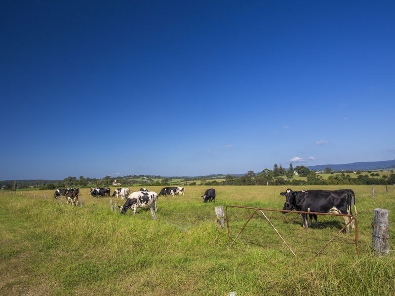 Lot 2 Woodstock Road, Milton NSW 2538