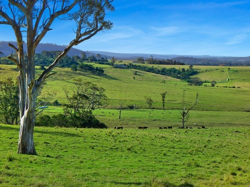 Lot 15 Bonnie View Drive, Milton NSW 2538