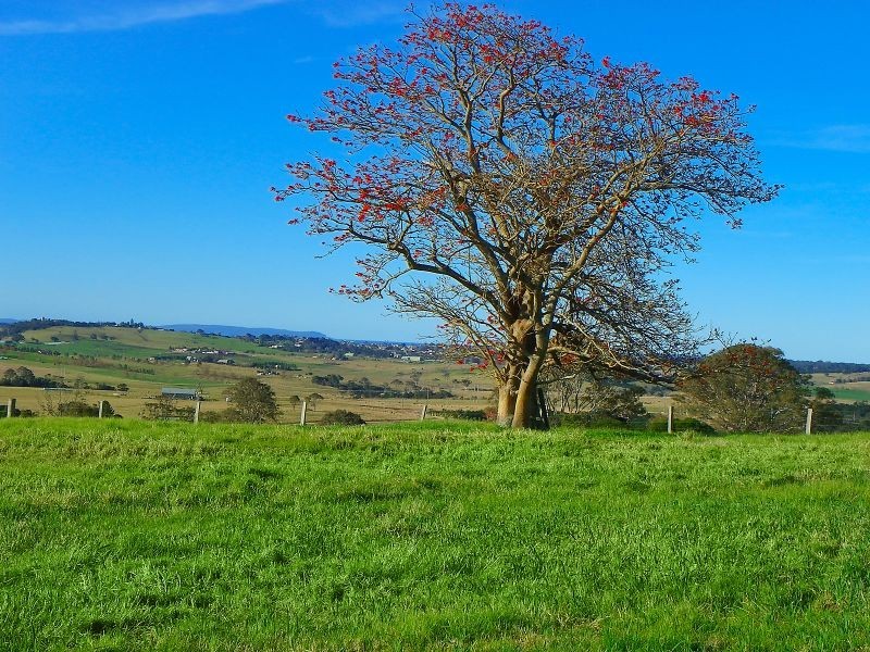 Lot 15 Bonnie View Drive, Milton NSW 2538