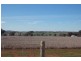 Lot 15 Twiggs Road, Maryvale NSW 2820